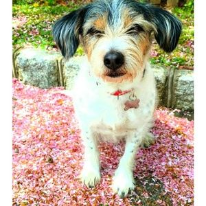 Meet your Posher, Whitney